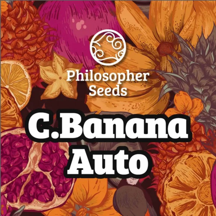 Semillas de autoflorecientes  Auto C.Banana de Philosopher Seeds.