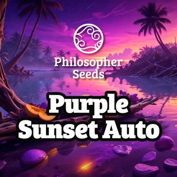 Semillas de autoflorecientes  Auto Purple Sunset de Philosopher Seeds, logo.