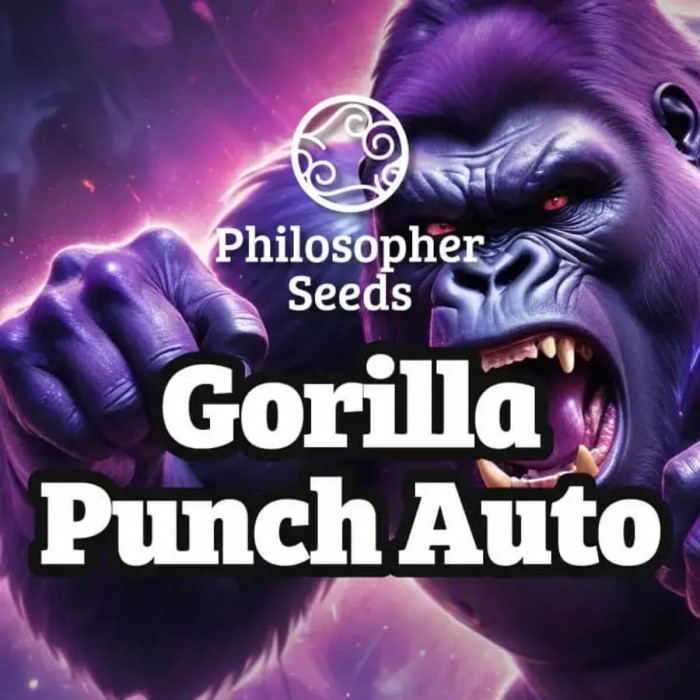 Semillas de autoflorecientes  Auto Gorilla Punch de Philosopher Seeds, logo.