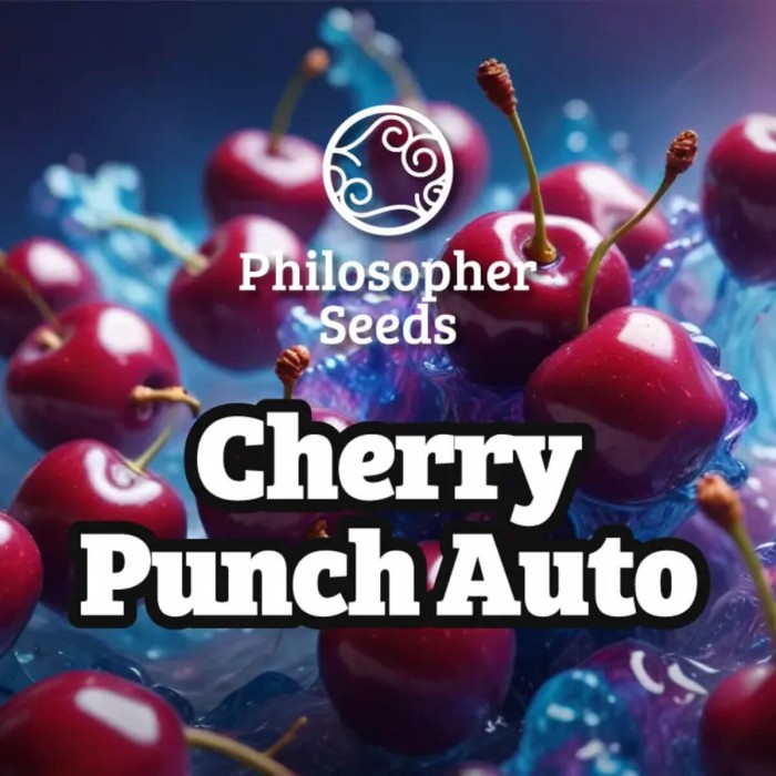 Semillas de autoflorecientes  Auto Gorilla Cherry Punch de Philosopher Seeds, logo.