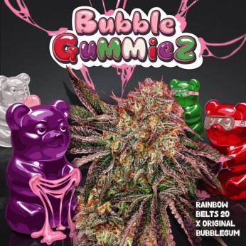 Semillas feminizadas Bubblegummiez de T.H. Seeds, logo.
