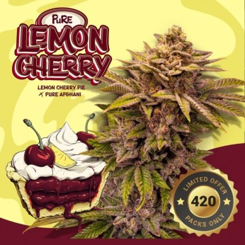 Semillas feminizadas Pure Lemon Cherry de T.H. Seeds, logo.