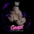 Semillas feminizadas Cauldron de Wizard Trees Seeds, portada.