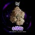 Semillas feminizadas Obsidian de Wizard Trees Seeds, portada.