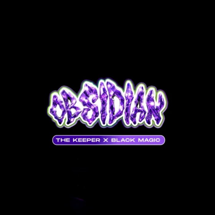 Semillas feminizadas Obsidian de Wizard Trees Seeds, logo.