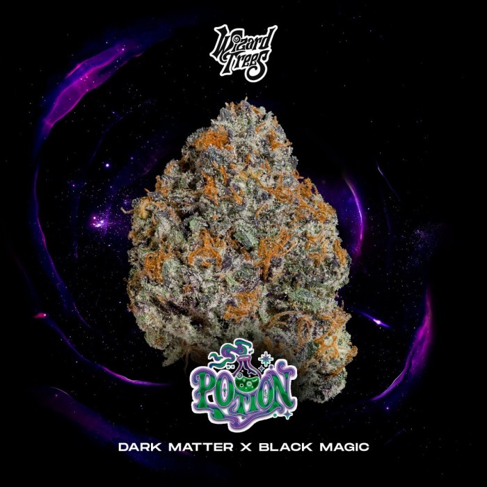 Semillas feminizadas Potion de Wizard Trees Seeds, portada.
