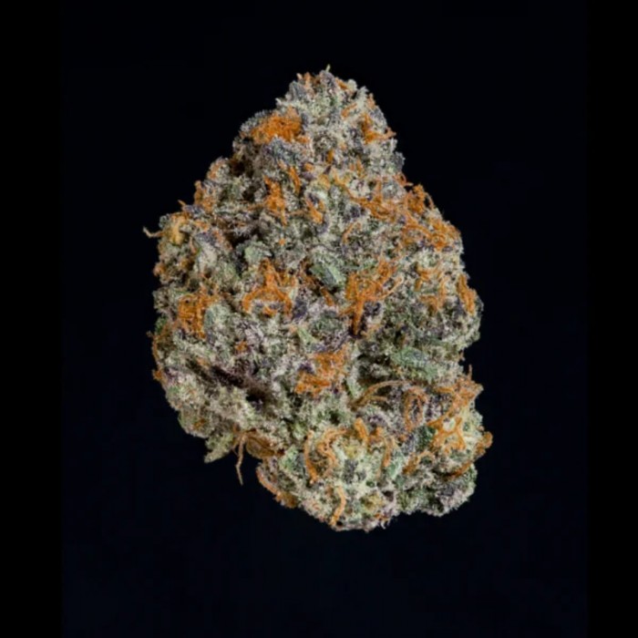 Semillas feminizadas Potion de Wizard Trees Seeds, cogollo.