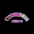 Semillas feminizadas Black Bow de Wizard Trees Seeds, logo.