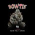 Semillas feminizadas Bowtie de Wizard Trees Seeds, portada.