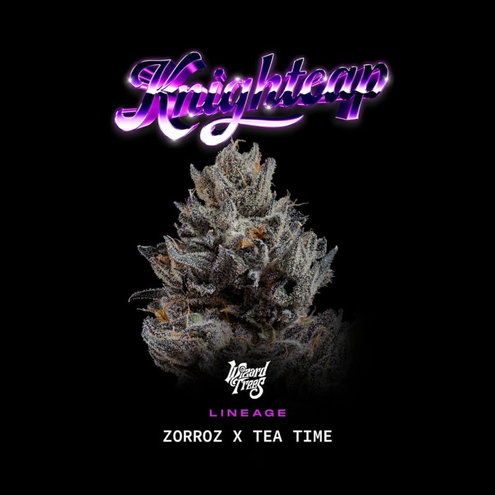 Semillas feminizadas Nightcap de Wizard Trees Seeds, portada.