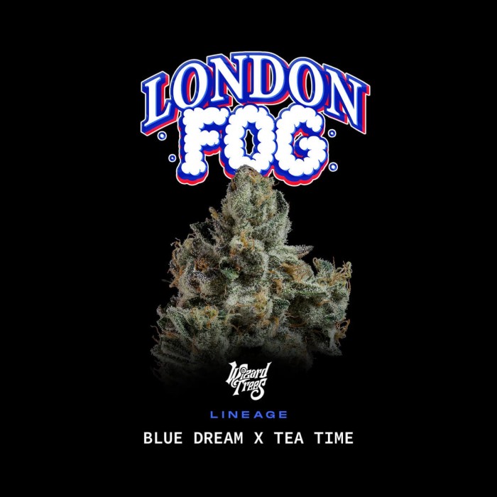 Semillas feminizadas London Fog de Wizard Trees Seeds, portada.