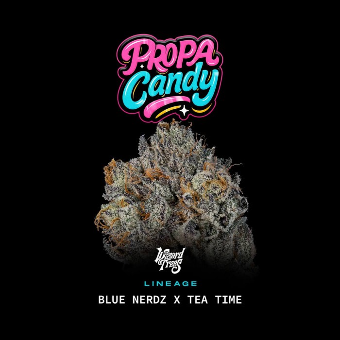 Semillas feminizadas Propa Candy de Wizard Trees Seeds, portada.