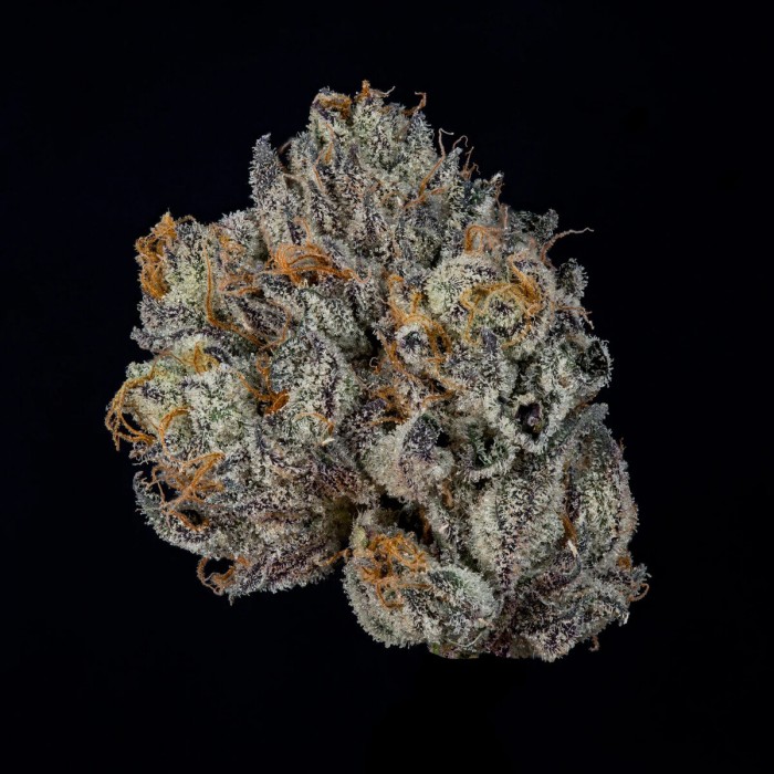 Semillas feminizadas Propa Candy de Wizard Trees Seeds, cogollo con resina.