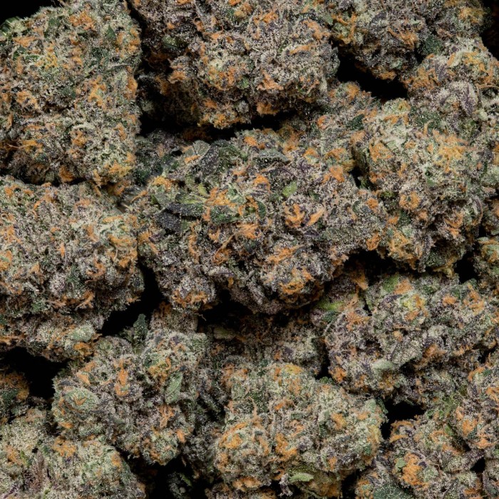 Semillas feminizadas Top G de Wizard Trees Seeds, cogollos.