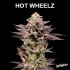 Semillas de marihuana feminizadas Hot Wheelz de Nine Weeks Harvest, cogollo morado resinoso.