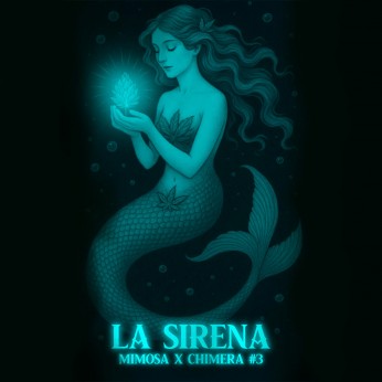 Semillas de marihuana feminizadas La Sirena de Dr. Love Seeds, logotipo.