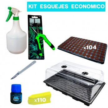 Kit para hacer esquejes nivel económico.