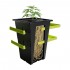 Maceta Re-Plant por etapas.
