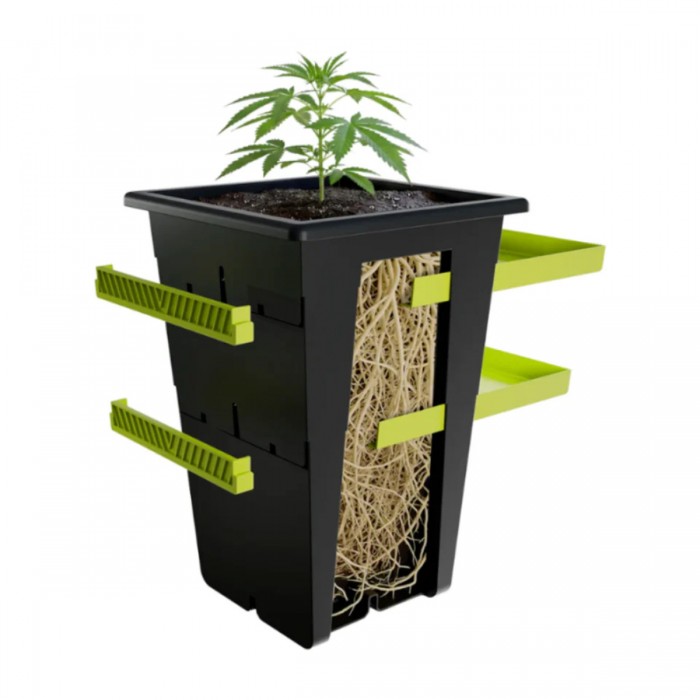 Maceta Re-Plant por etapas.