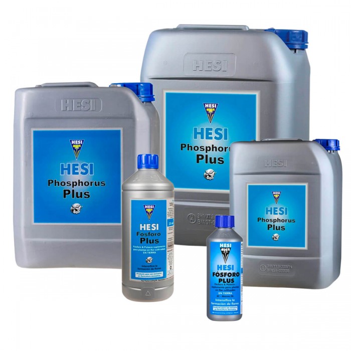 Fosforo Plus de Hesi, diferentes formatos.