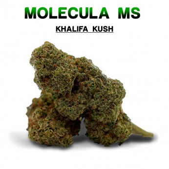 Flores 50% MS Khalifa Kush 5g.