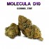 Flores 50% D10 Cosmic Trip 5g.