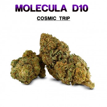 Flores 50% D10 Cosmic Trip 5g.
