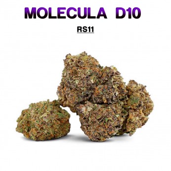 Flores 50% D10 RS11 5g.