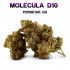 Flores CBD 50% D10 Pornstar OG 5g.