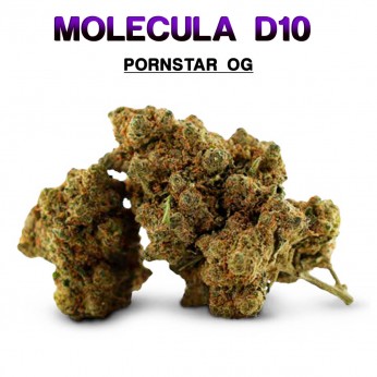 Flores CBD 50% D10 Pornstar OG 5g.