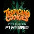 Auto Tropicana Cookies de Barney's Farm Seeds, semilla de marihuana.