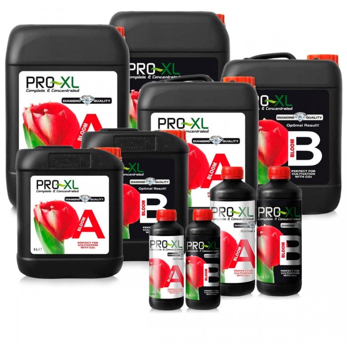 Bloom A+B Pro-XL, diferentes formatos.