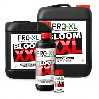 Bloom XXL de Pro-XL, diferentes formatos.