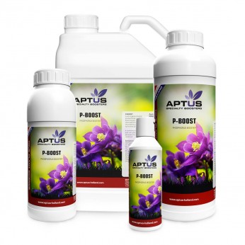 P-Boost de Aptus, potenciador, diferentes envases.