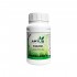 Aptus Regulator de Aptus Plant Tech, envase de 250 ml.