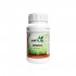 Topbooster de Aptus - Estimulador de floración, envase de 250ml.