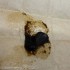 Hash MS 50% Charas