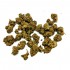 Cogollos CBD Small Buds Gorilla Glue de la marca FP, envase de 10g.