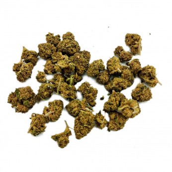 Cogollos CBD Small Buds Gorilla Glue de la marca FP, envase de 10g.