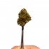 CBD Small Buds Gorilla Glue de la marca FP, envase de 10g, ampliado.