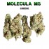 Flores 50% MS Cheese Interior 5g.