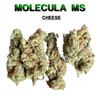 Flores 50% MS Cheese Interior 5g.