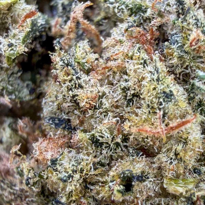 Cogollos CBD Papaya Diesel California indoor de la marca FP, resina.