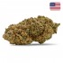 Cogollos CBD Papaya Diesel California indoor de la marca FP, envase de 2g.