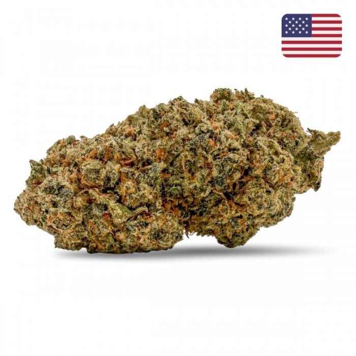 Cogollos CBD Papaya Diesel California indoor de la marca FP, envase de 2g.