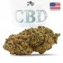 Cogollos CBD Papaya Diesel California indoor de la marca FP, logo.