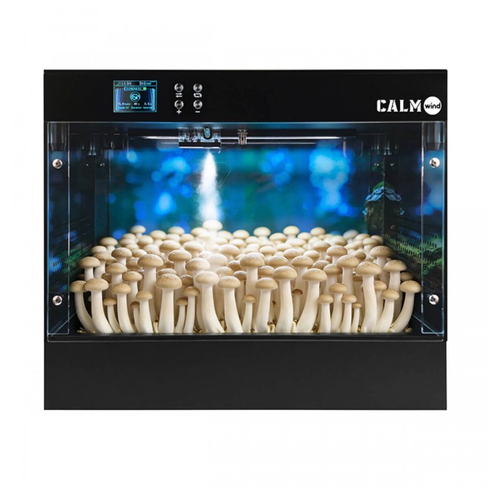 Smart Grow Box, Kit de cultivo de setas inteligente LTQ, humidificación.