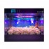 Smart Grow Box, Kit de cultivo de setas inteligente LTQ, luces LED.