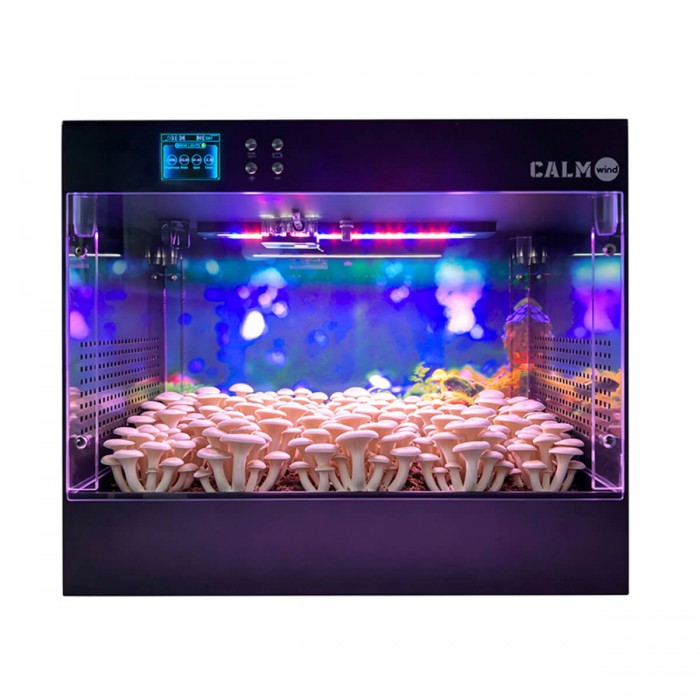 Smart Grow Box, Kit de cultivo de setas inteligente LTQ, luces LED.