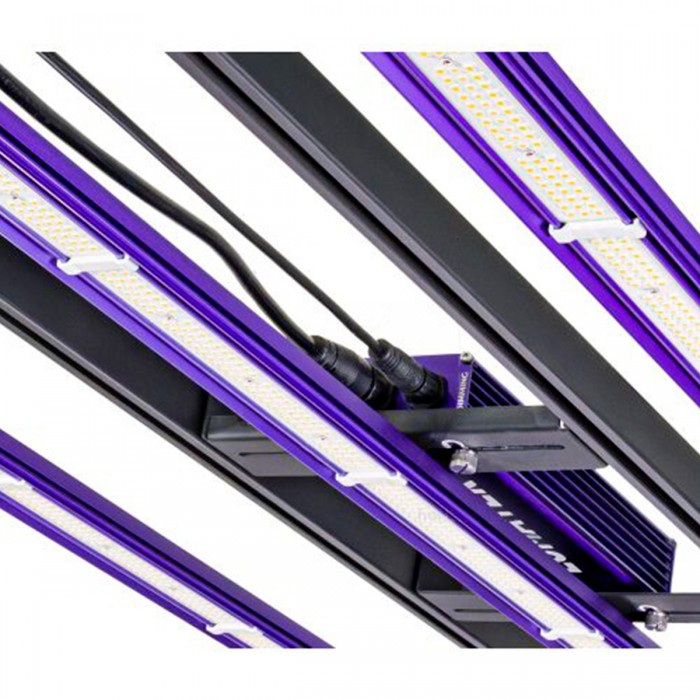 Sistema Lumatek LED Zeus 300W PRO 3.1 conexiones.